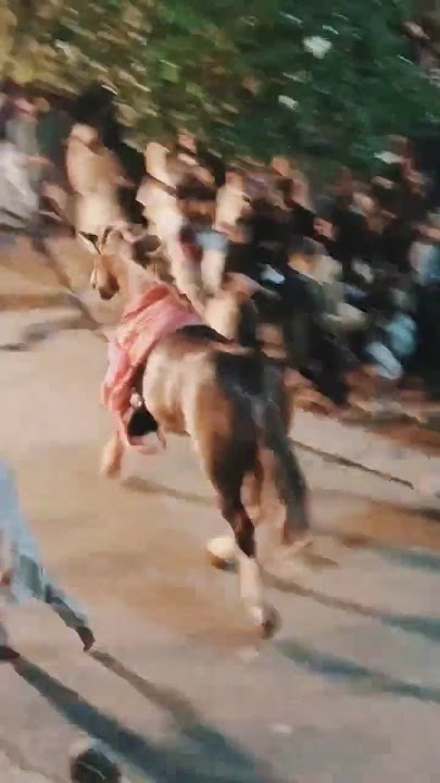 10 Muharram 2025 Buraq Badshah Karbala Gamay Shah Inside Run