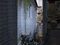 Stalker 2 gameplay #stalker #shorts