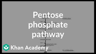 Pentose phosphate pathway  Cyclic structures and anomers | Biomolecules | MCAT | Khan Academy
