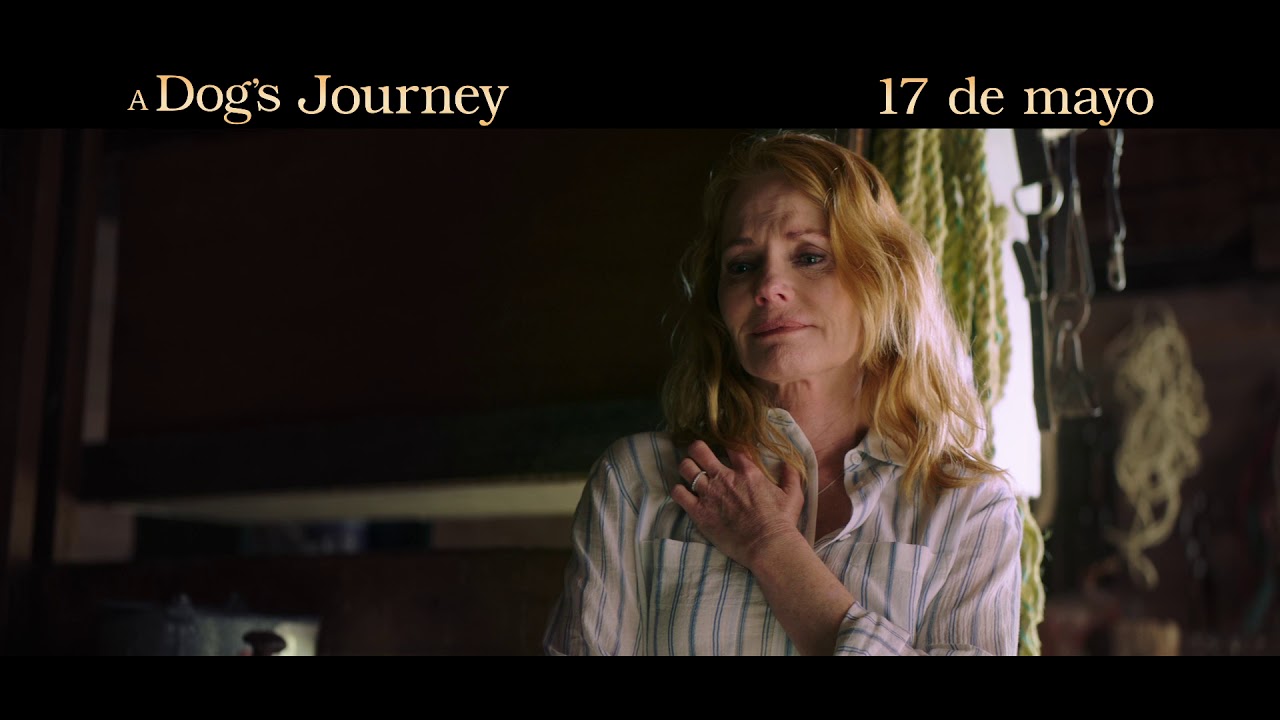 A Dog's Journey - 15 Experience Hispanic (17 de mayo) peliculas en el cine