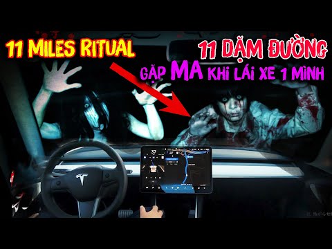 Video: Xe đạp Ride 3300 Miles Để giúp Chó bị lạm dụng