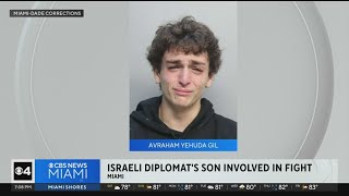 Israeli diplomat's son involved in jail fight