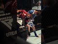 Precision and skill meet in the ultimate submission victory 👏 #shorts #mma #immaf #rdxsports