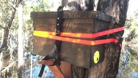 Setting out swarm traps