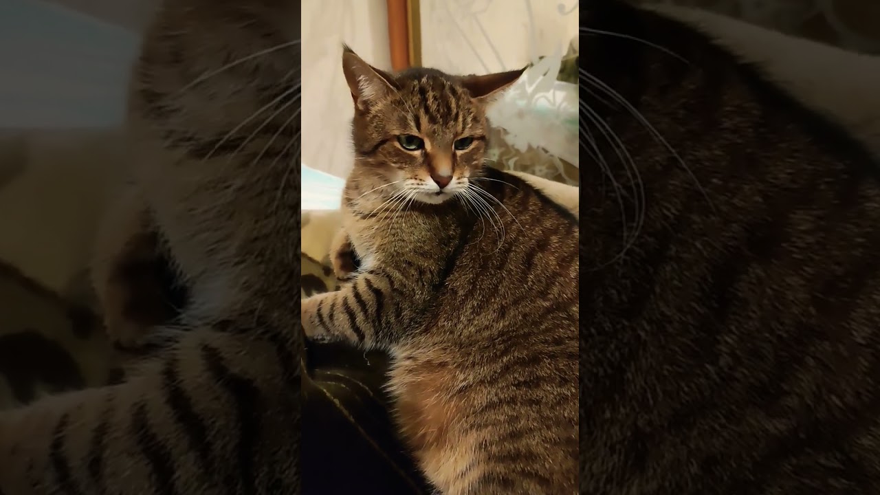 Карьерный рост 