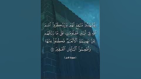 آيات عطرة من سورة الحج للقارئ مصطفى جيد