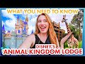 What You Need To Know Before You Stay At Disney&#39;s Animal Kingdom Lodge