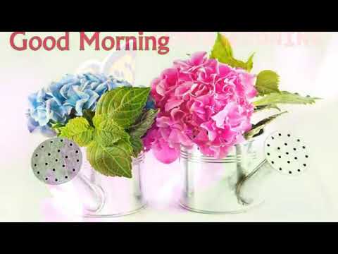 Good Morning Tamil Song 39 Youtube
