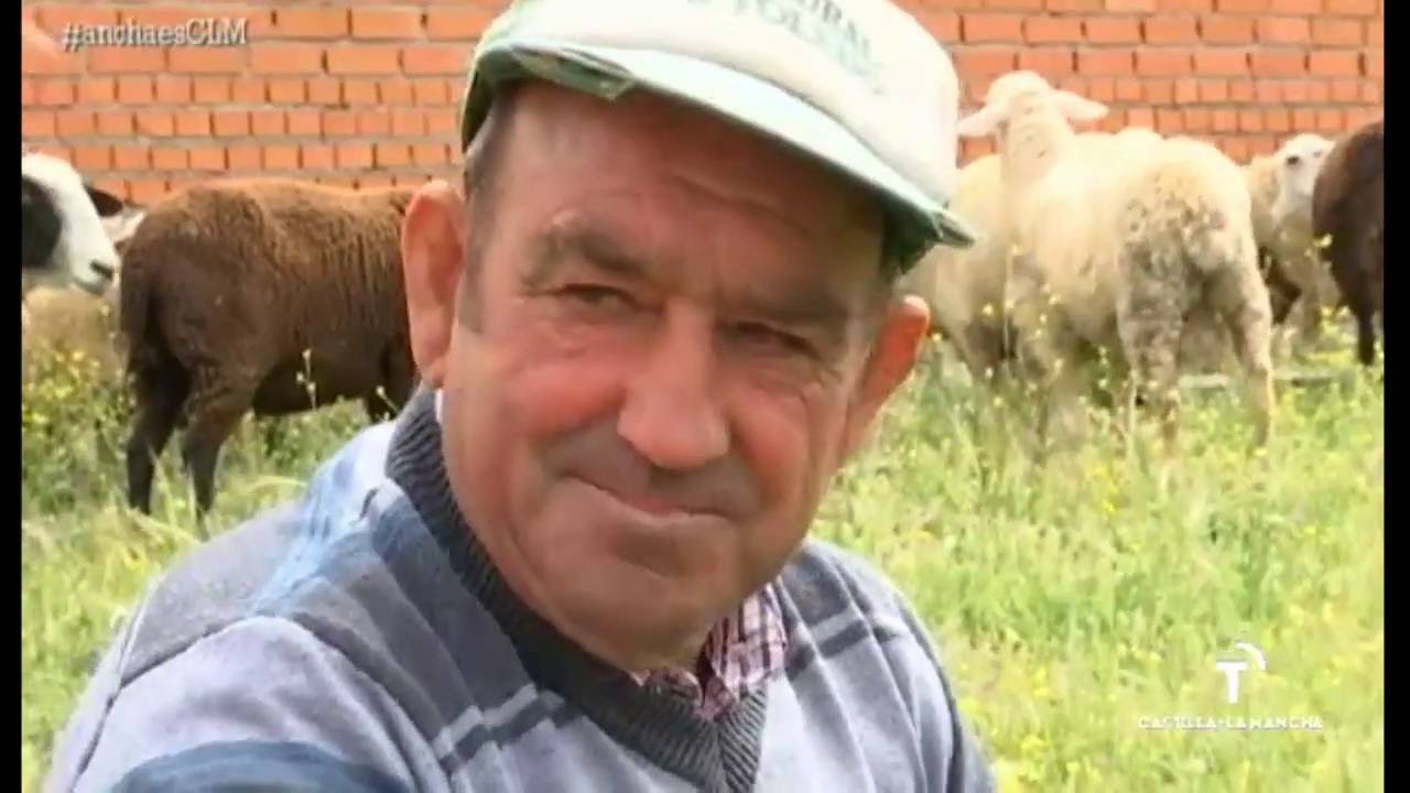 AECLM: El duro oficio de pastor