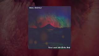 Juno and the Echo Dog - The Great Fire