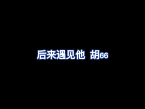 后来遇见她 - 胡66  《后来遇见他陪我春秋冬夏》歌词版
