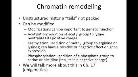 Week 6 lecture 6- DNA packaging into chromosomes
