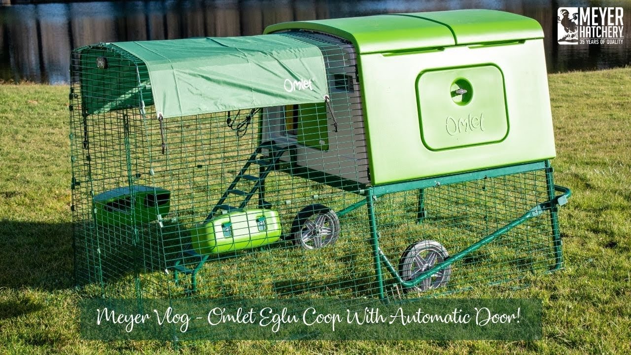Meyer Hatchery Vlog Omlet Eglu Cube with Automatic Door! YouTube