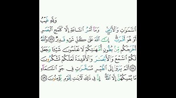 16 - سورة النحل ٧٧-٧٩ - خالد الجليل