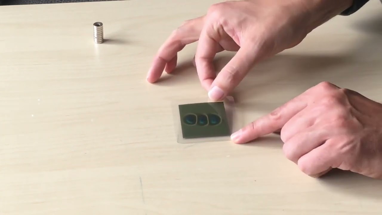 Magnetic Fields Visualized with  Magnetic Viewing Film. Color Magnetic Paper Viewing Film Review.