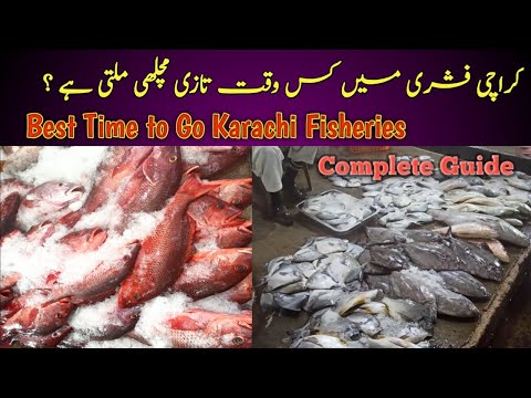 Best Time to Go Karachi Fisheries | کراچی فشری کی مکمل معلومات #karachifisheries