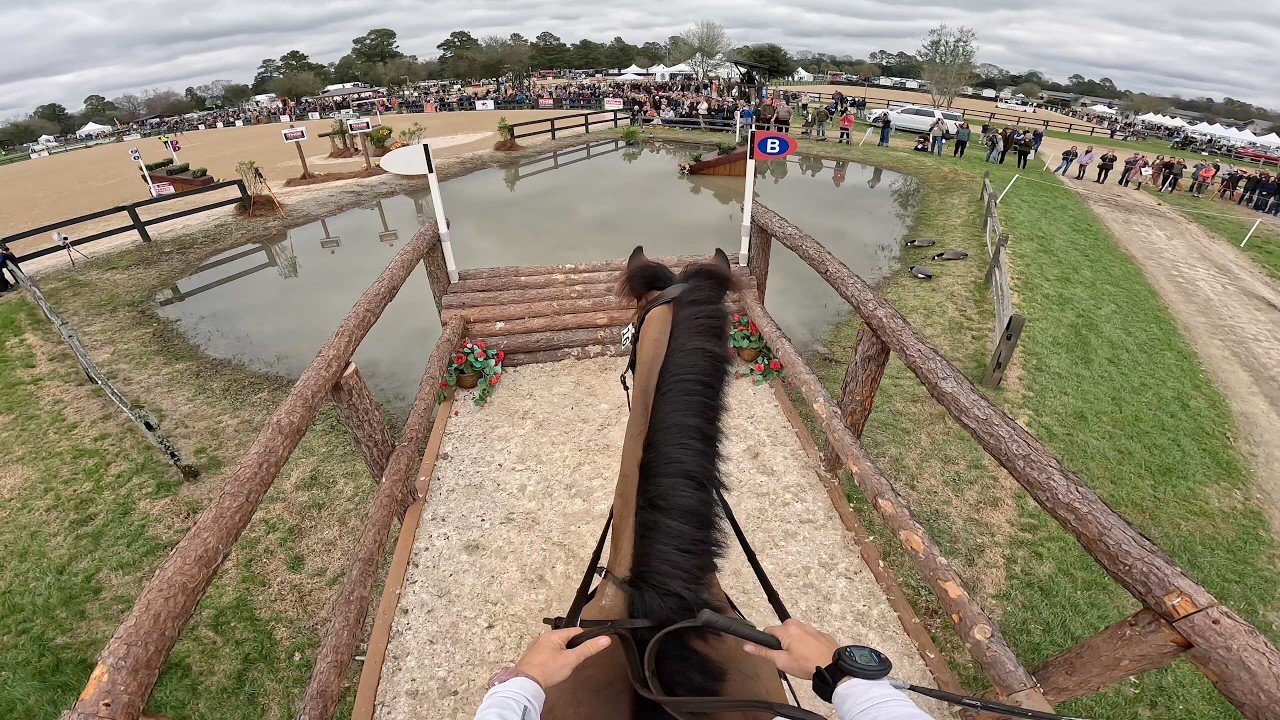 GoPro: Lissavorra Quality (2-е место | Продвинутый уровень | Гран-при по троеборью 2026 года на п...