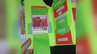 Libro Objeto, Chaleco