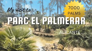 Parc El Palmeral in Alicante, over 7,000 Palm Trees, Butia, Mexico Fan Palms #palm #waterfall