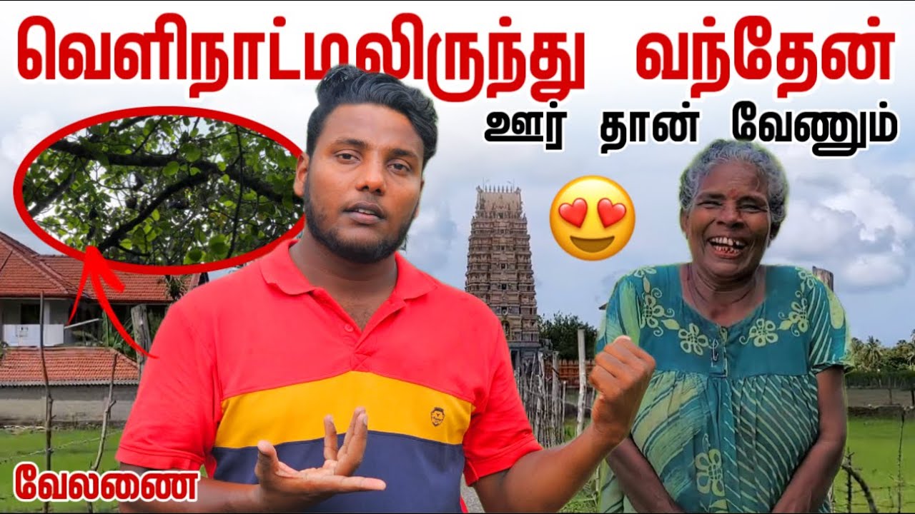 வெளிநாட்டிலிருந்து வந்தேன் | ஊர் தான் வேணும் | Hundreds of bats living Tree 😲 | Velanai | Pavaneesan