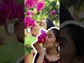 বাগানবিলাস (Bougainvillea) #trend #viral #bengalisong #fyp #newpost