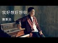 蕭秉治 Xiao Bing Chih - 我好想好想你 Missing You【滚动歌词】
