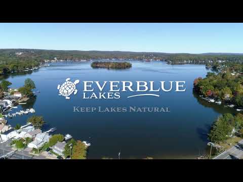 Natural Solutions to Harmful Algal Blooms - EverBlue Lakes Webinar April 2021