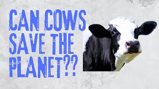 Can Cows Save the Climate? The Shocking Truth About Grazing and Carbon Sequestration.