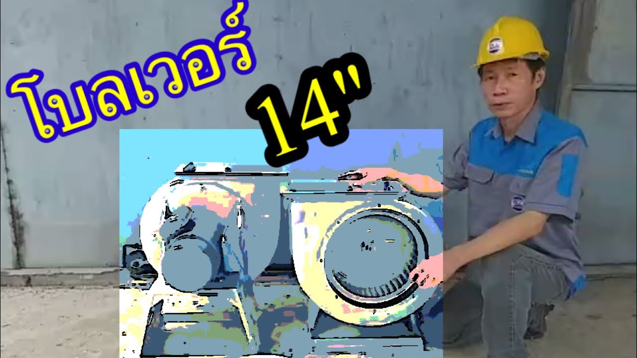 โบลเวอร์ 14