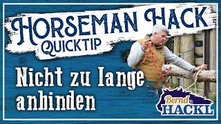 Nicht zu lange anbinden | 🐴 HORSEMAN HACK 🐎