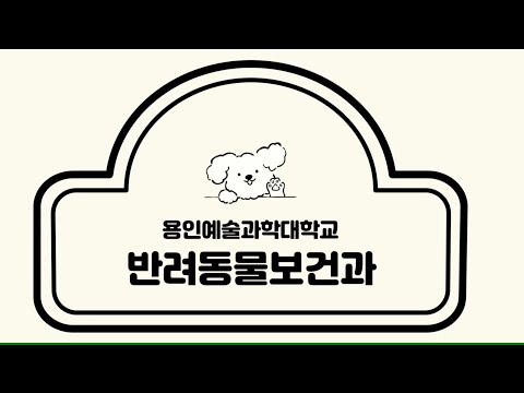 반려동물 전문가가 되는 길! (용인예술과학대학교 반려동물보건과 소개)