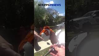 Law enforcement admire Tiger Woods' historic putter after crash Details