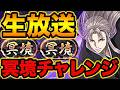 【パズドラ】冥境チャレンジ!最強虚でプラマラ素材集め!【スー☆パズドラ】