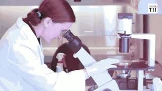 Genetically Modified Embryos