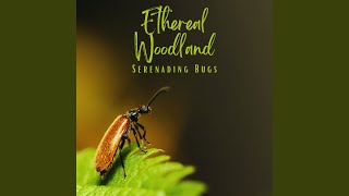 Bug Ballad at Dusk