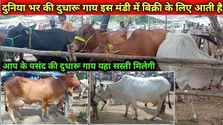 दुनिया भर की गाय इस मंडी में मिलती हैं | Chausa Cow Mela | Cow Market in Bihar | Cow mandi