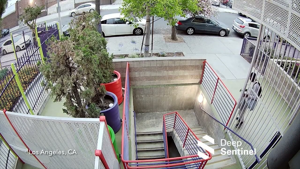 Deep Sentinel - Real-time Security for Businesses and Residential