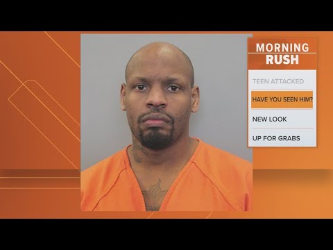Convicted felon on the run after he was mistakenly released from jail ...