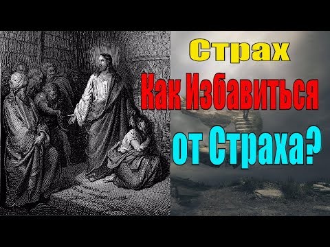 Видео: Страх от насекоми, пеперуди и змии - скрити странности от страха от смъртта