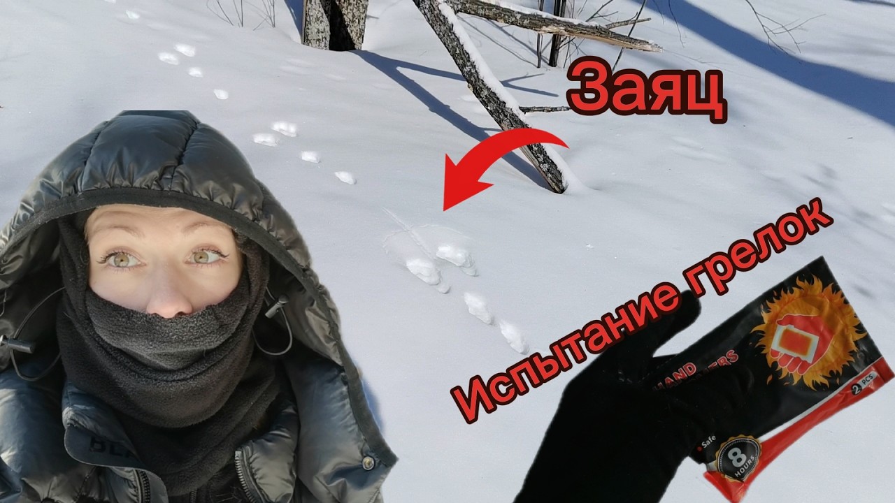 ФЕНОЛОГИЧЕСКИЕ заметки. Проверяю химические грелки.