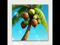 தென்னை மரம்   உயரமான தென்னை   thenai maram  coconut tree