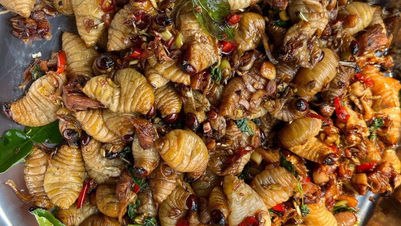 • Extreme Street Food in Cambodia – Fried Palm Weevil Larvae!