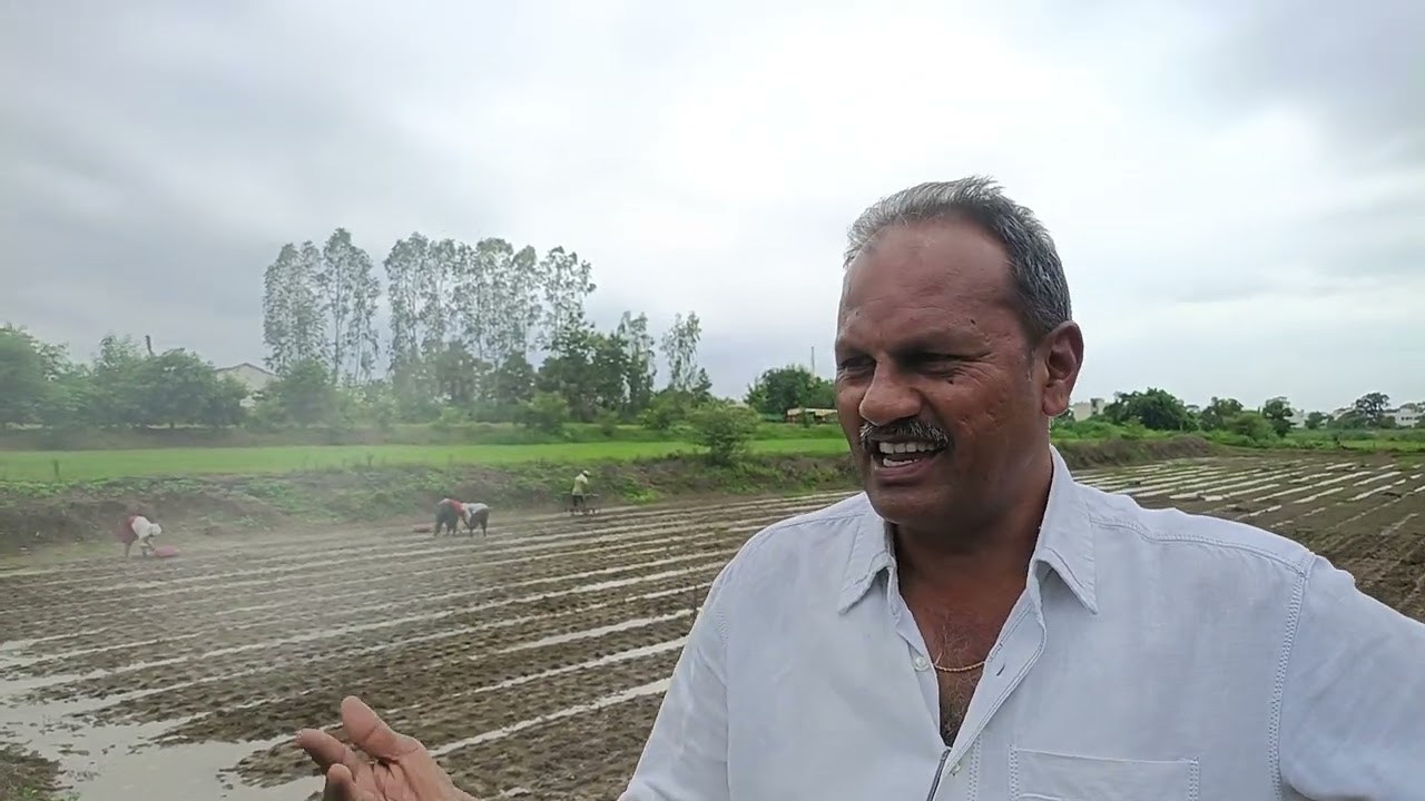 SRT rice plot rainwater absorber