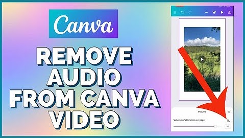 How To Remove Audio From Video In Canva 2023?