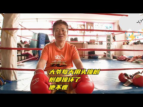 大爷每天用头撞树，树都撞坏了，他不疼【野兽beast】