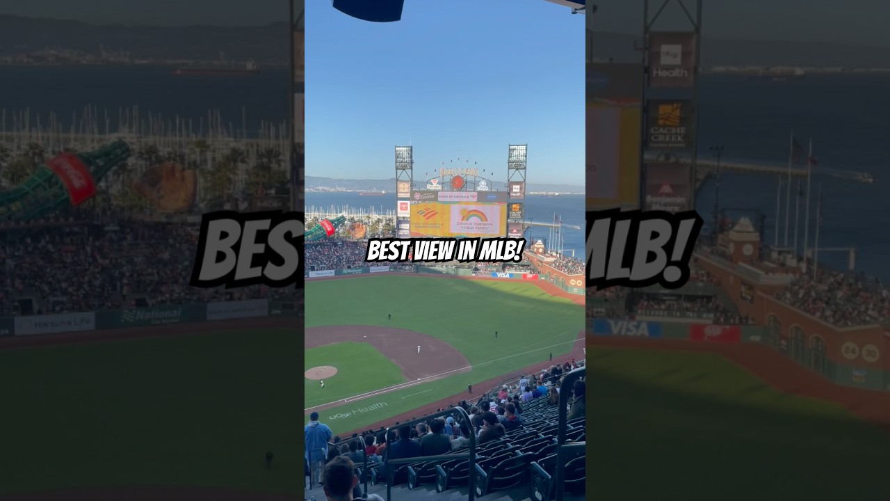 Best View In MLB 