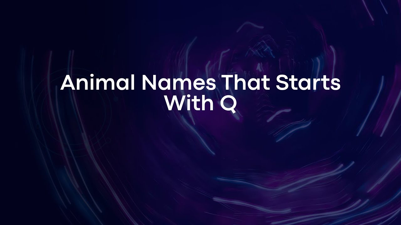 Animal Names That Starts With Q