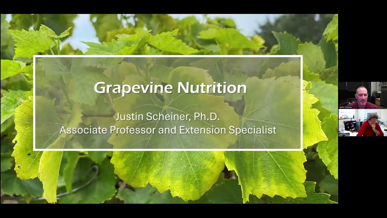 Bunch Grape Webinar Series - Viticulture | NC State Extension