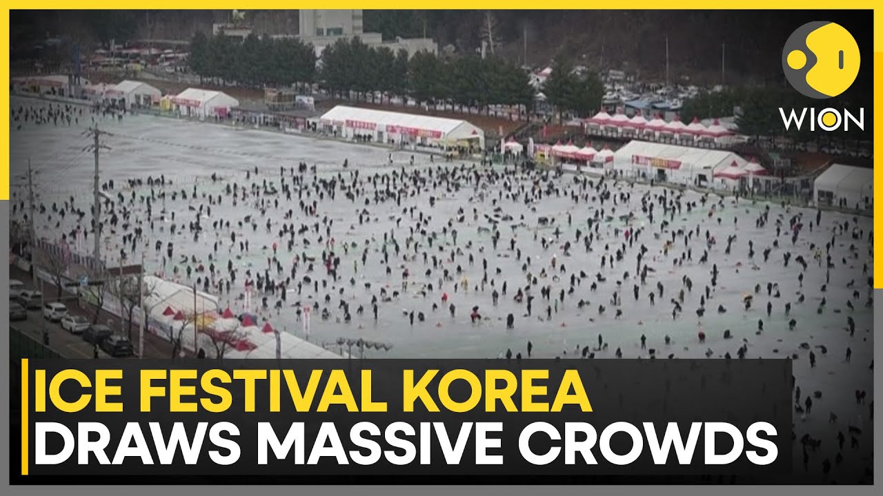 South Korea’s Hwacheon Ice Fishing Festival Draws Global Crowds | WION