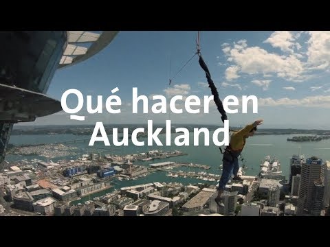 Me aventé de la torre más alta de Nueva Zelanda | Nueva Zelanda #2 Alan por el mundo